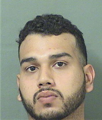 Rafael Rodriguez, - Palm Beach County, FL 